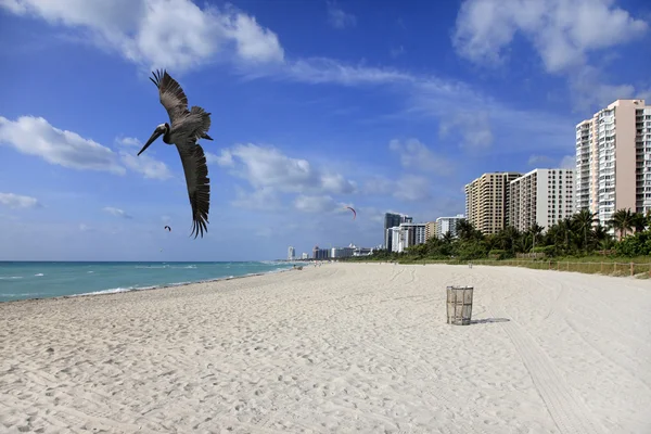 South Beach görünümünü — Stok fotoğraf