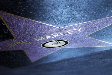 Star Bob Marley 