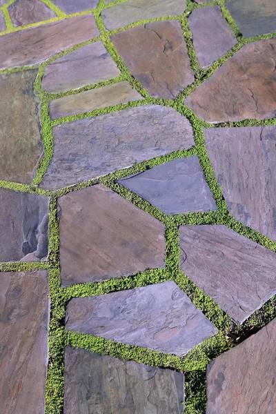 Tuin stenen pad met gras — Stockfoto