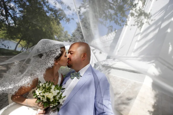 Charmante bruid en bruidegom — Stockfoto