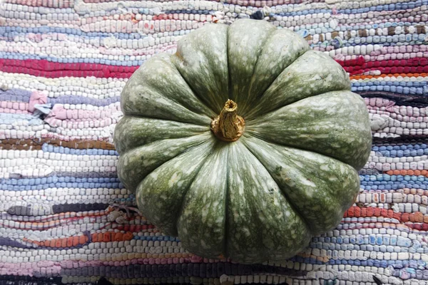 Big green pumpkin close-up — Stock Photo, Image