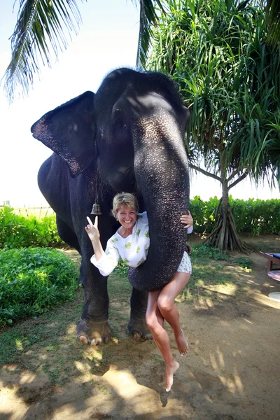 Cheerful mature woman with an elephant. — Stock Photo, Image