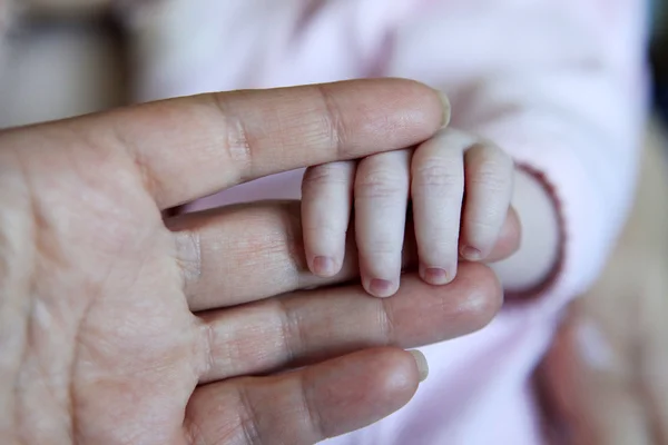 Grande y pequeño — Foto de Stock