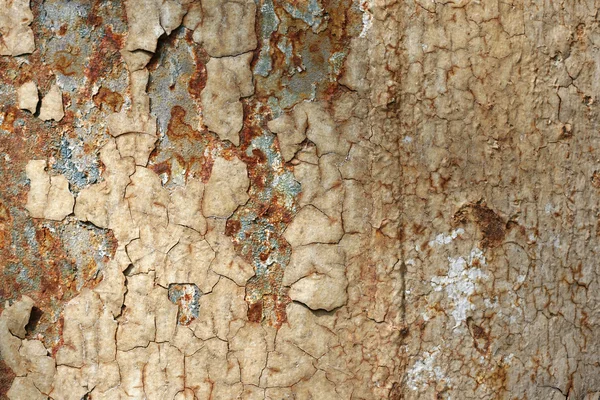 Rusty surface — Stock Photo, Image