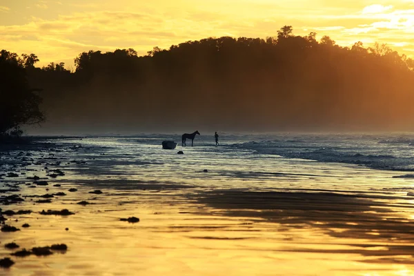 Passeggiata con un cavallo — Foto Stock