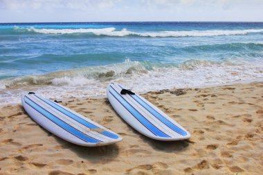 plajda sörf tahtaları