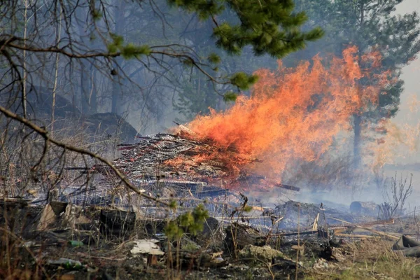 Fuego en un bosque — Foto de Stock