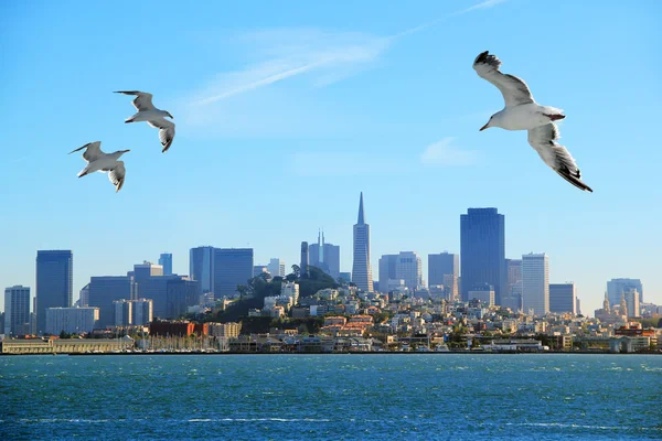 San Francisco — Foto Stock