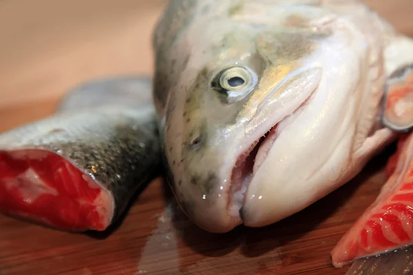 Fresh salmon — Stock Photo, Image