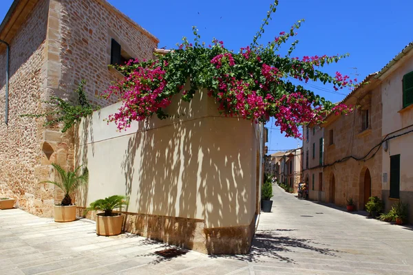 Alcudia gamla stan — Stockfoto