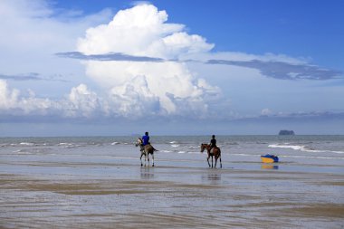 Gallop on the beach clipart