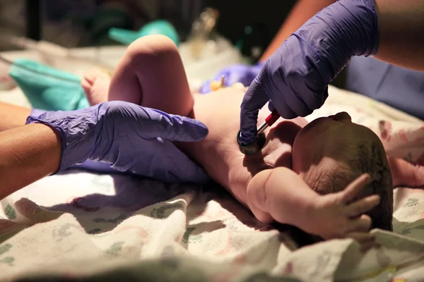 Just born baby girl — Stock Photo, Image