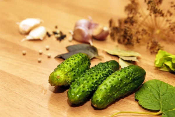 Ingredients for pickling — Stock Image Ingredients for pickling Stock Picture