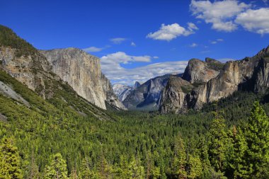 Yosemite Ulusal Parkı