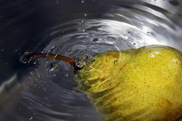 Pêra na água — Fotografia de Stock