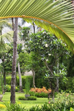 Asya Köyü görüntüsü