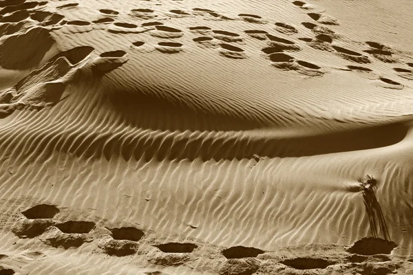 Dunes de sable avec empreintes de pas sur une plage — Photo