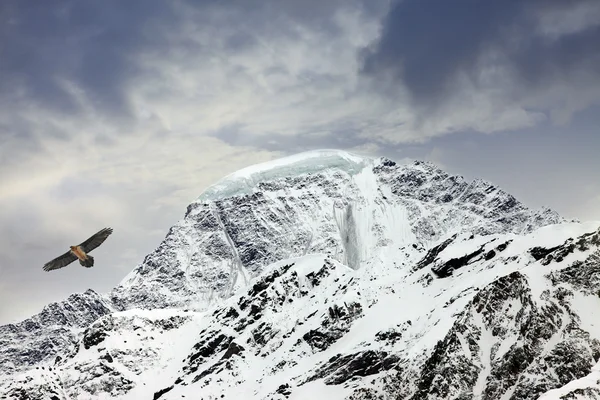 Elbrus Mount, Russia — Stock Photo, Image