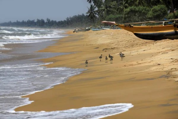 Plaża sielankowy tropikalny raj — Zdjęcie stockowe