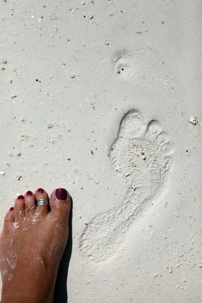 Empreintes de pas sur une plage de corail — Photo