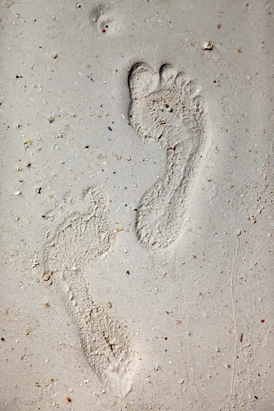 Impronte su una spiaggia di corallo — Foto Stock
