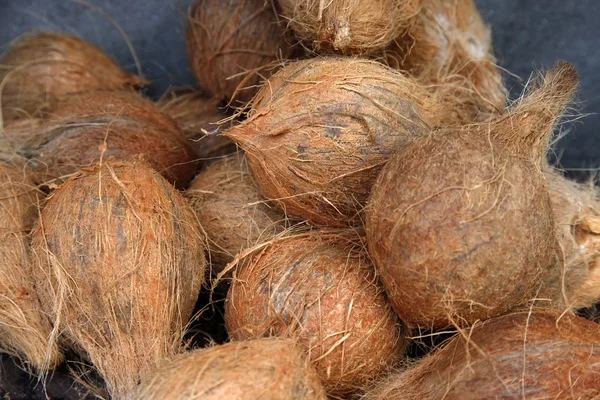 Bunch of fresh coconuts — Stock Photo, Image