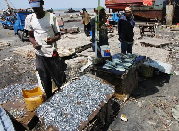 Fish market in Stone Town — Stock Photo, Image