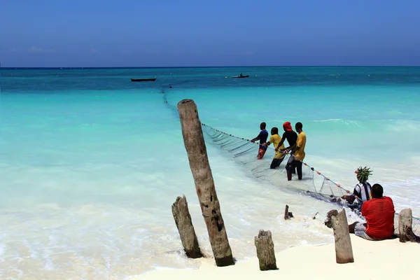 Mercado de pescado en la playa — Foto de Stock