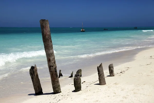 Strandmotiv. Zanzibar — Stockfoto