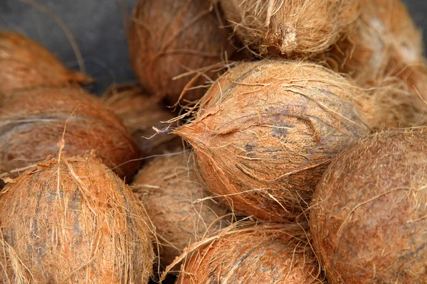 Färska kokosnötter närbild — Stockfoto