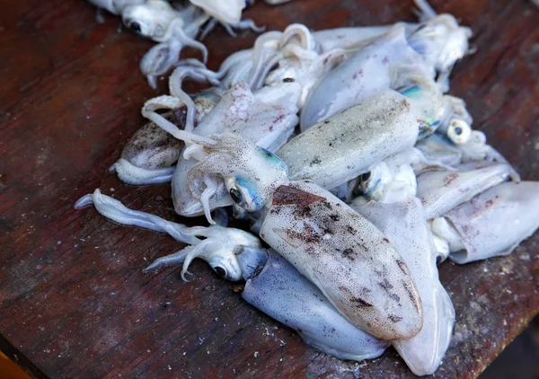 Frischer Tintenfisch auf dem Fischmarkt in Steinstadt — Stockfoto