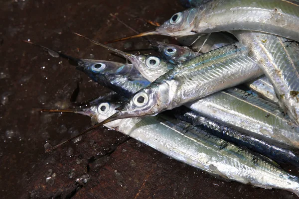 Gestapelter Fisch auf dem Fischmarkt in Steinstadt — Stockfoto