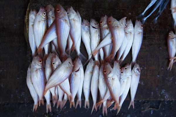 Frischer Fisch auf dem Fischmarkt in Steinstadt — Stockfoto