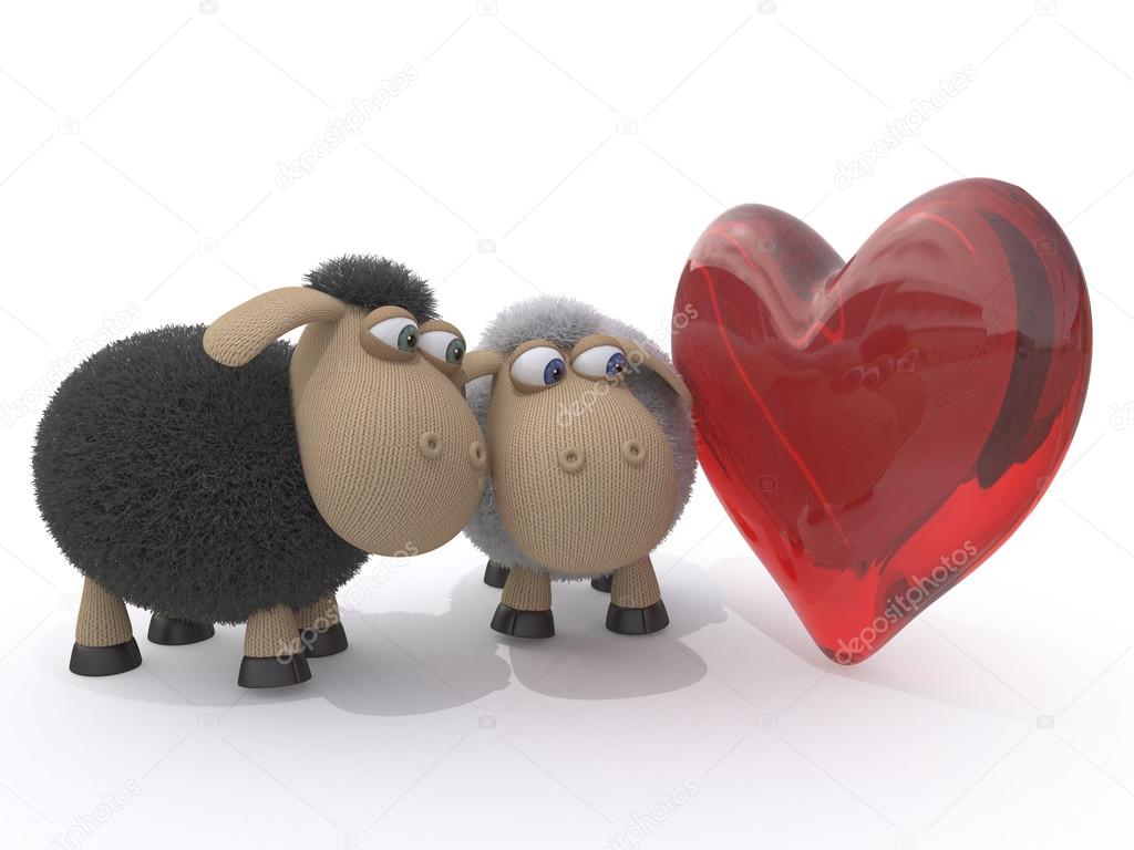 Loving couple of sheep