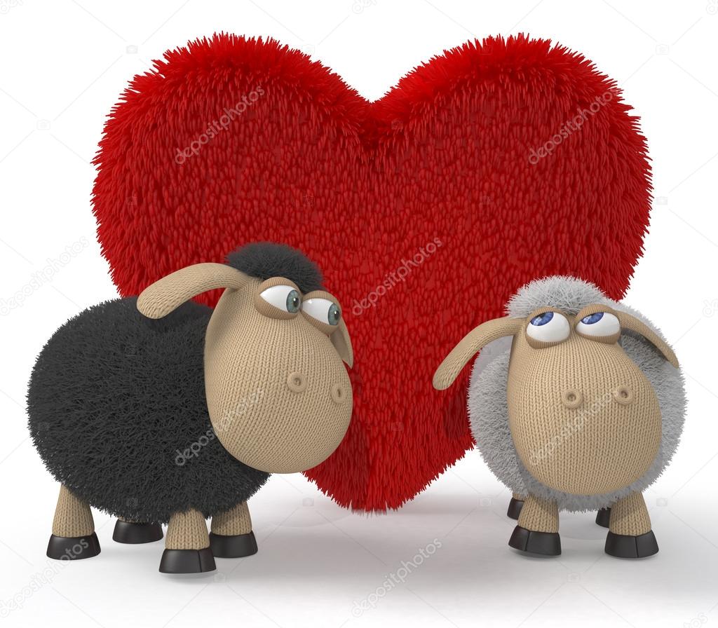Loving couple of sheep