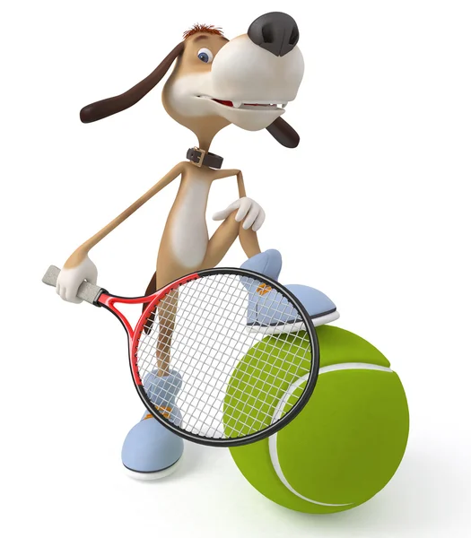 Dog tennis player — Stock Photo, Image