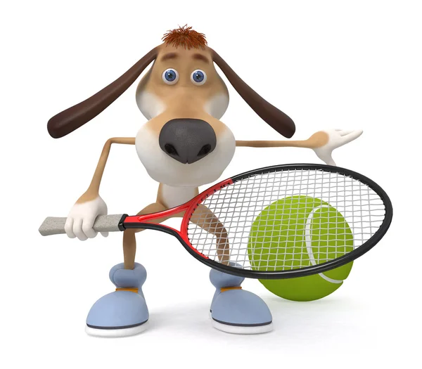 Hond tennisser — Stockfoto