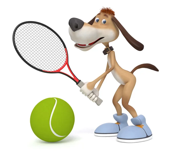 강아지의 테니스 선수 — 스톡 사진