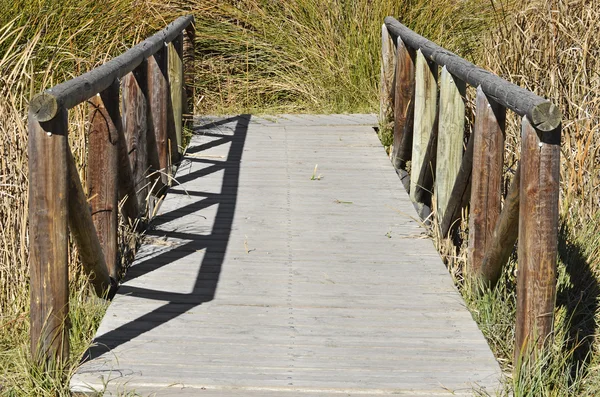 Wooden Path — Stock Photo, Image