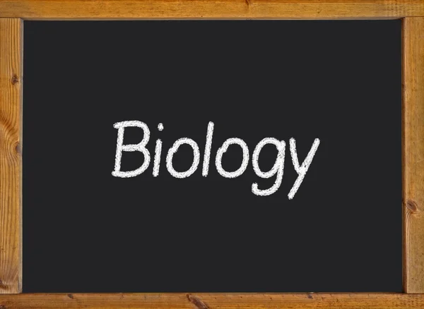 Biologie auf einer Tafel geschrieben — Stockfoto