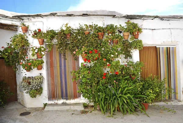 Entrance to the old spanish house and potted flowers. — Stock Photo, Image