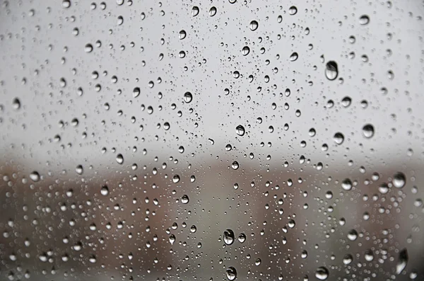 Regentropfen auf dem Glas — Stockfoto