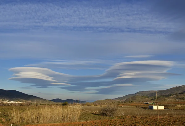 Puesta de sol con nubes sobre el campo con viñedos —  Fotos de Stock