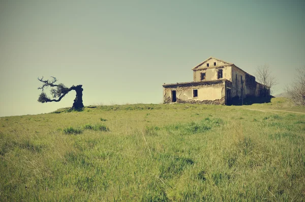 Abandoned house and cork centenary — Stock Photo, Image