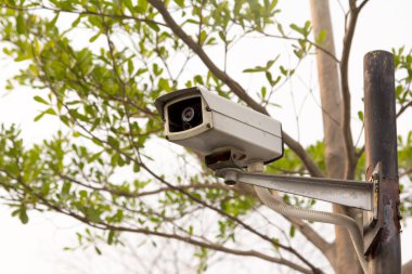 Parktaki CCTV.