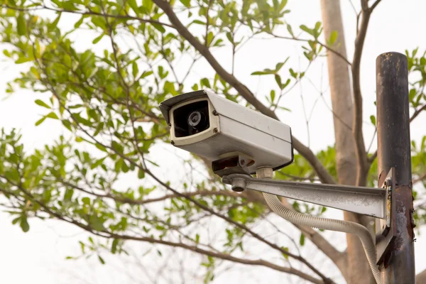 Parktaki CCTV.