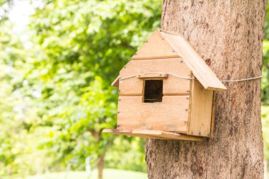 Ağaçtaki kuş evi..