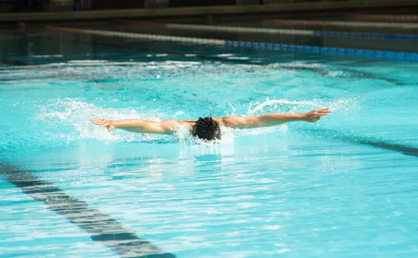 Butterfly stroke swimming — Stock Photo, Image