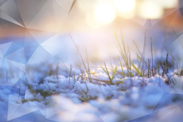 Grama de gelo de exposição dupla através de neve inverno macrofoto sol brilha luz — Fotografia de Stock