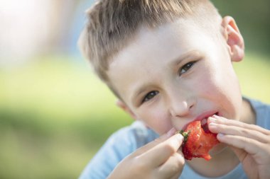 Çocuk böğürtlen yiyor. Tatlı çilek yiyen bir çocuğun yüzü.